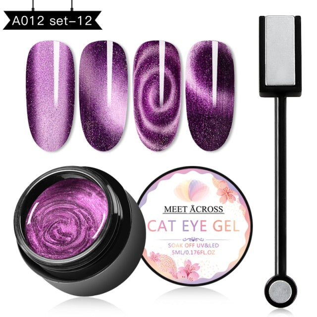 MEET ACROSS Magnetic Gel Polish
