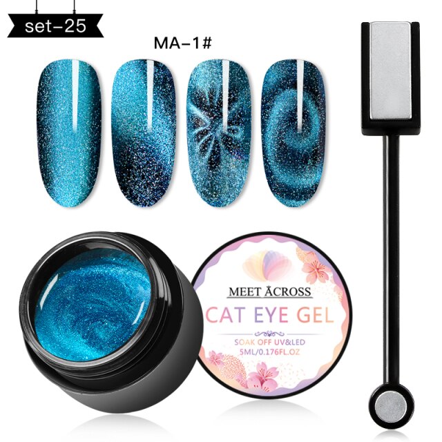 MEET ACROSS Magnetic Gel Polish