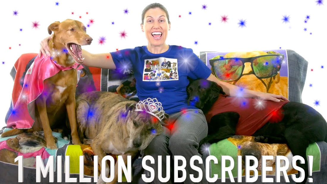 1 MILLION Subscribers Celebration!