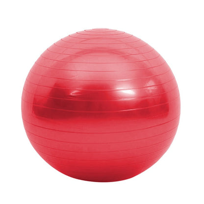 Sports Yoga Balls Pilates Fitness Gym Balance Exercise with Pump