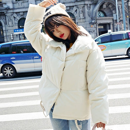 Korean Style Winter Jacket Stand Collar Short Parka